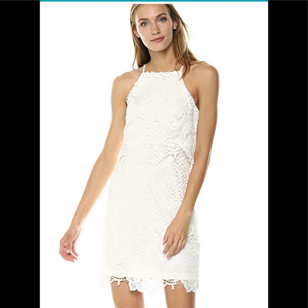 NWT Size 4 BB Dakota Bryn Lace Bodycon Dress